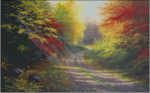 (image for) October Light